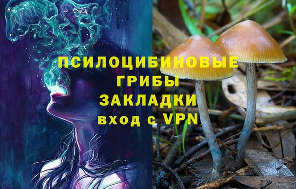 ГАЛЛЮЦИНОГЕННЫЕ ГРИБЫ Иннополис