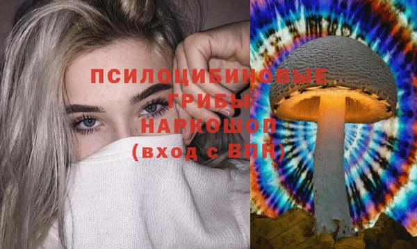 метамфетамин Инта
