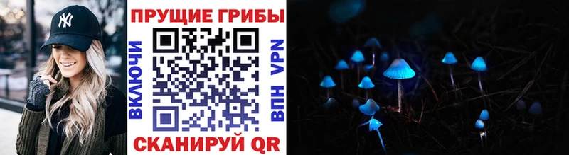 Псилоцибиновые грибы MAGIC MUSHROOMS Купить где Кедровый